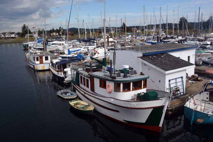 bay scene